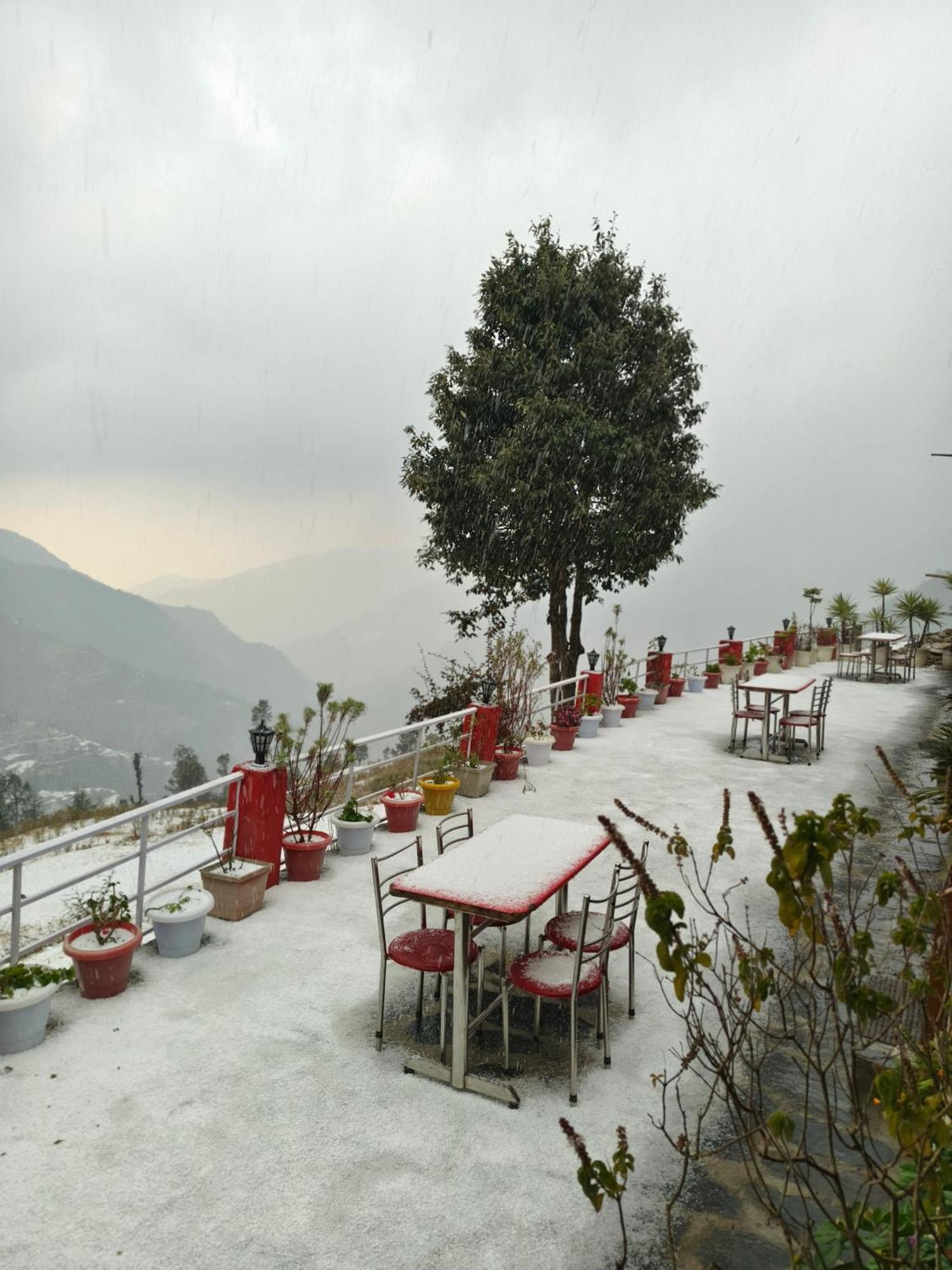 Naina Bird Cottage Nainital Exterior photo