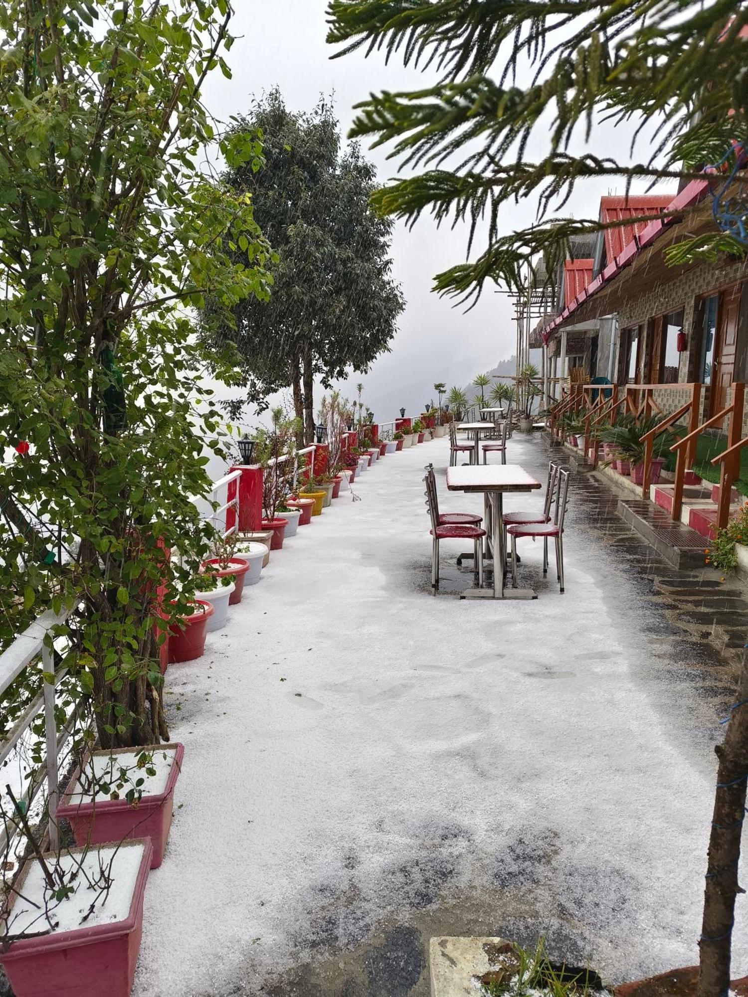 Naina Bird Cottage Nainital Exterior photo